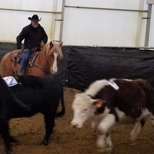 Meet your Posher, Rob